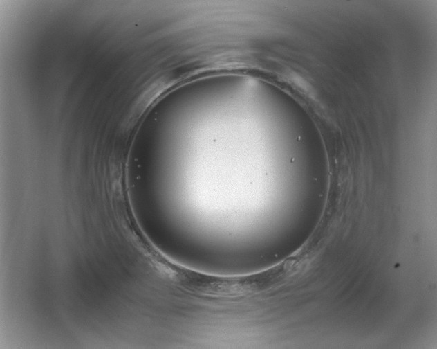 X0000066001273200603061314