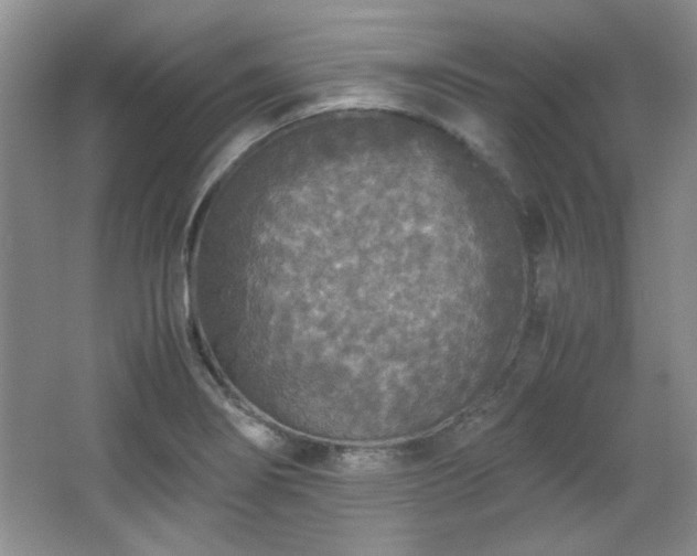 X0000066001274200603061314