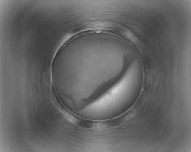 X0000066001275200603061314