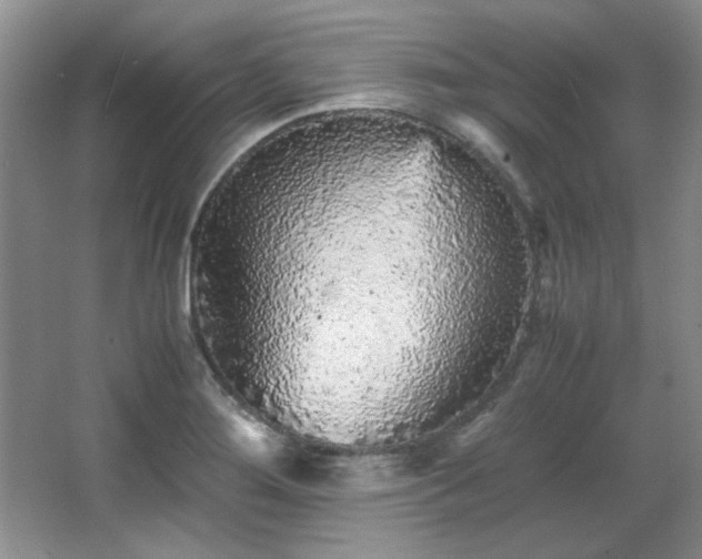 X0000066001276200603061314