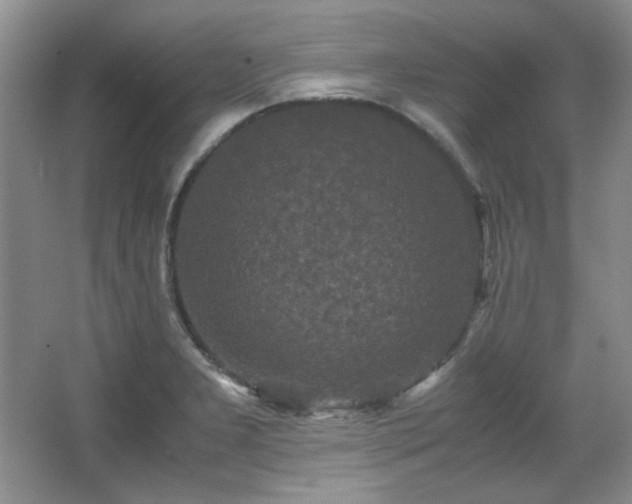 X0000066001277200603061314