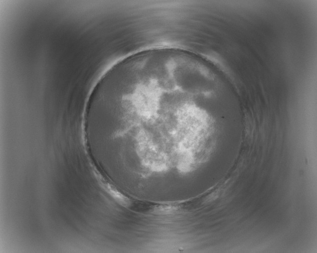 X0000066001278200603061314