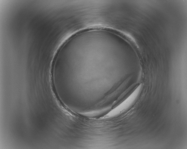 X0000066001279200603061314