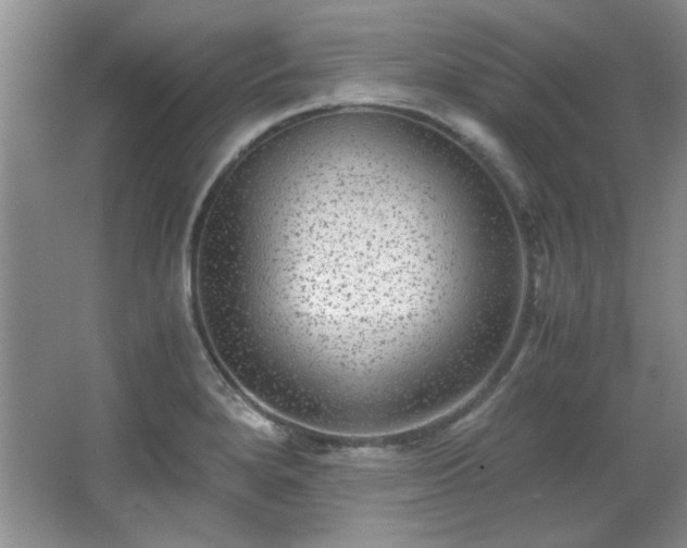 X0000066001280200603061314