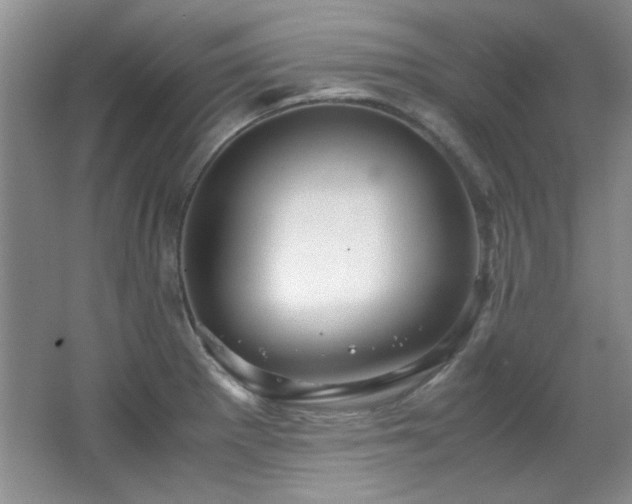 X0000066001281200603061314