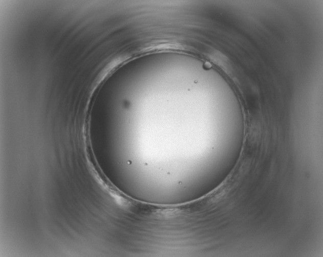 X0000066001282200603061314