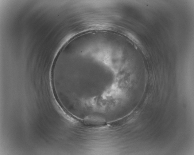 X0000066001283200603061314