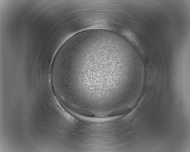 X0000066001284200603061314