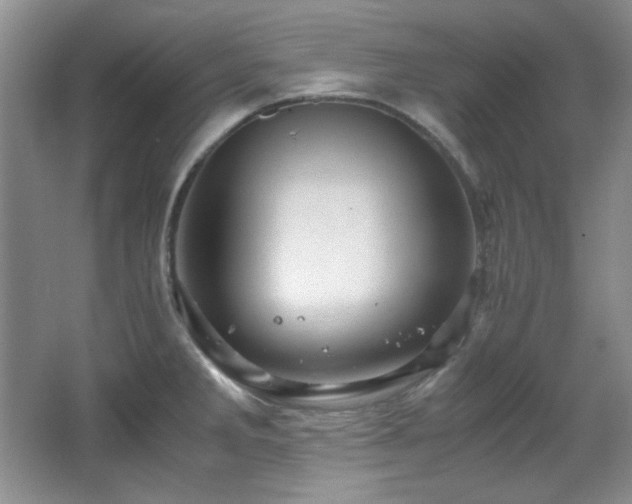 X0000066001285200603061314