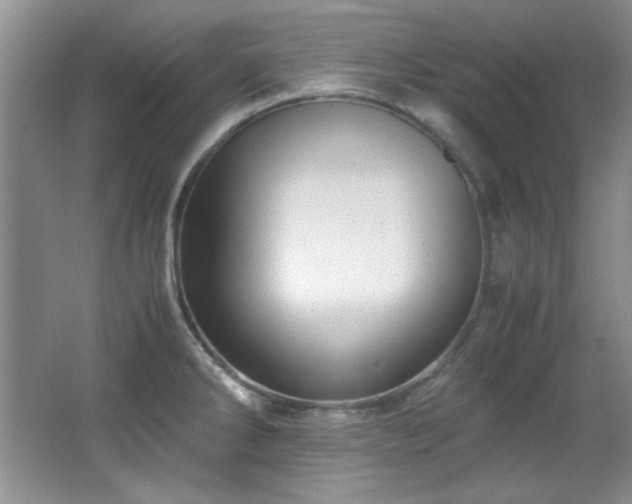 X0000066001286200603061314