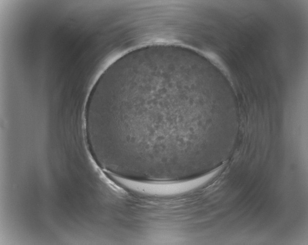 X0000066001287200603061314