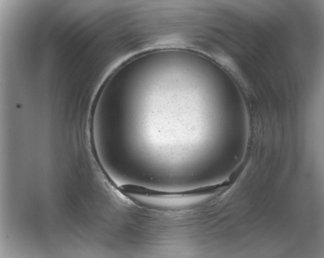 X0000066001288200603061314