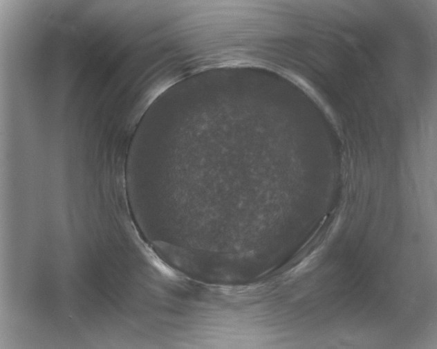 X0000066001289200603061314