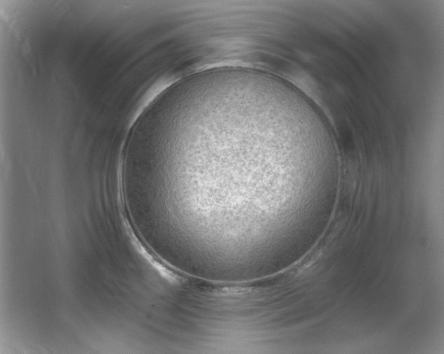 X0000066001290200603061314