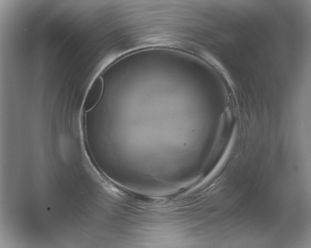 X0000066001291200603061314