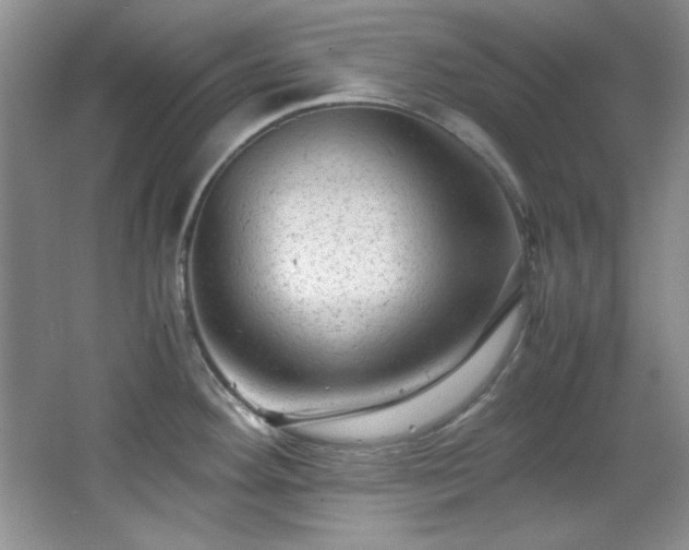 X0000066001292200603061314