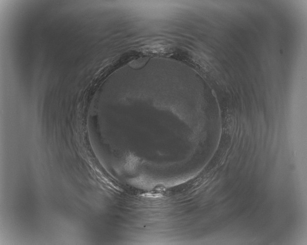 X0000066001297200603061313