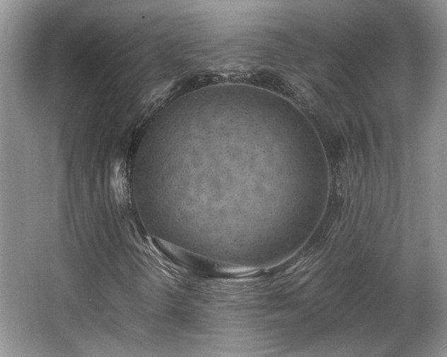 X0000066001298200603061313