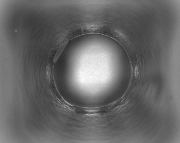 X0000066001299200603061313