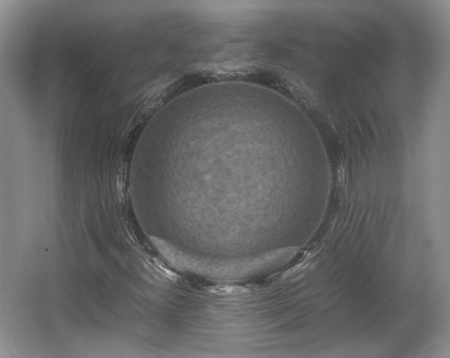 X0000066001300200603061313