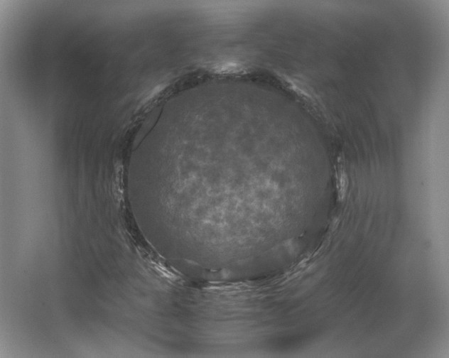 X0000066001301200603061313