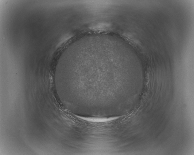 X0000066001302200603061313