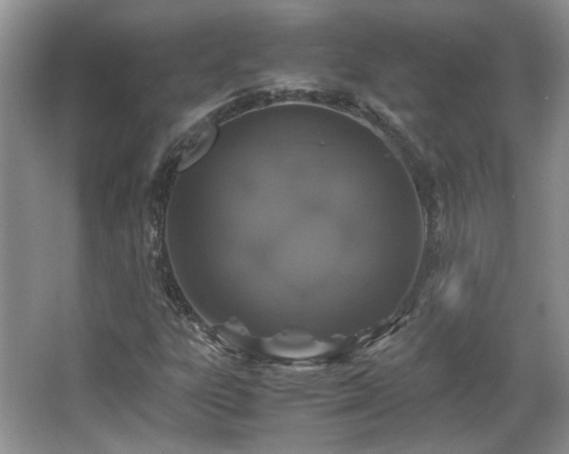 X0000066001303200603061313