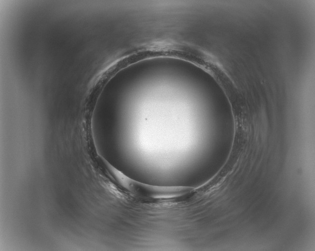 X0000066001304200603061313