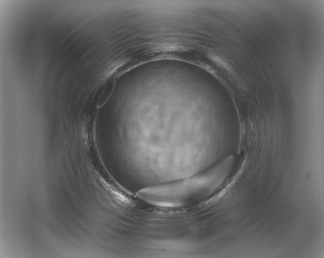 X0000066001305200603061313