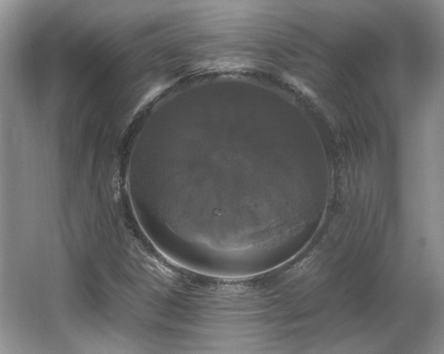 X0000066001306200603061313