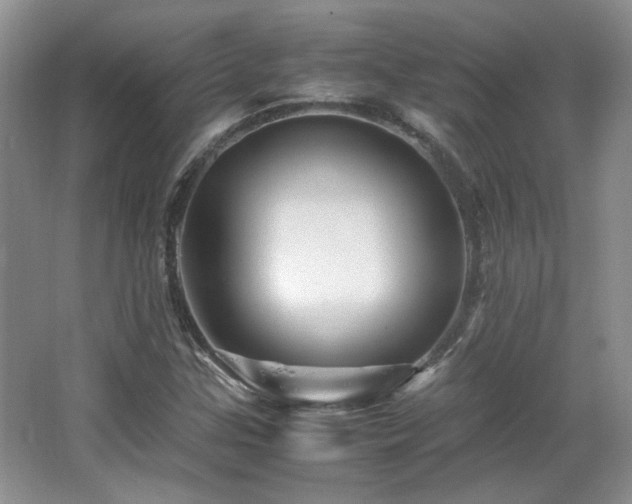 X0000066001307200603061313