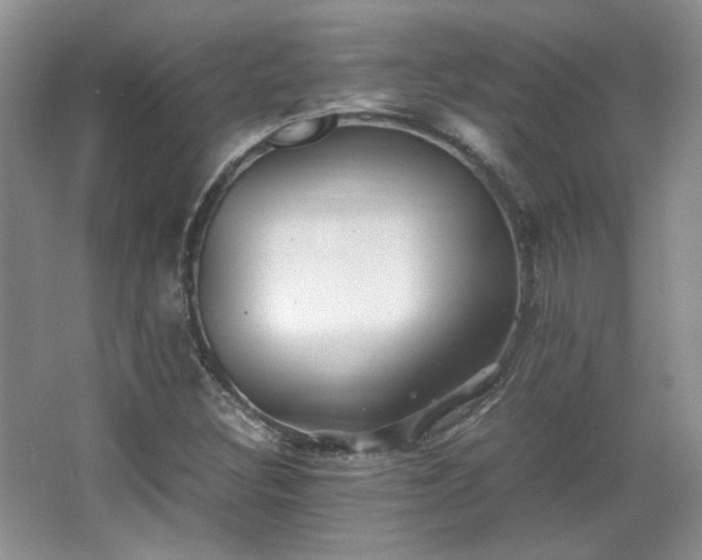 X0000066001308200603061313