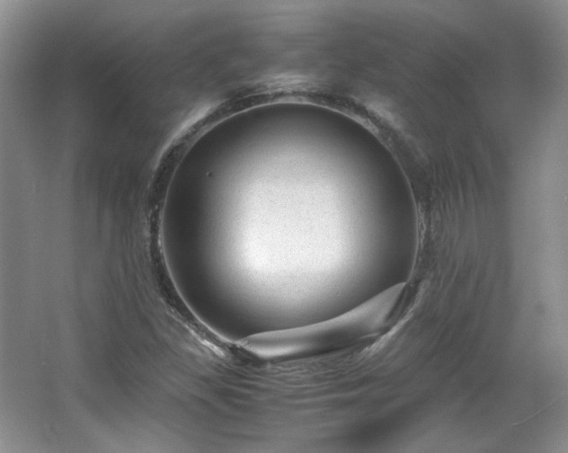 X0000066001309200603061313