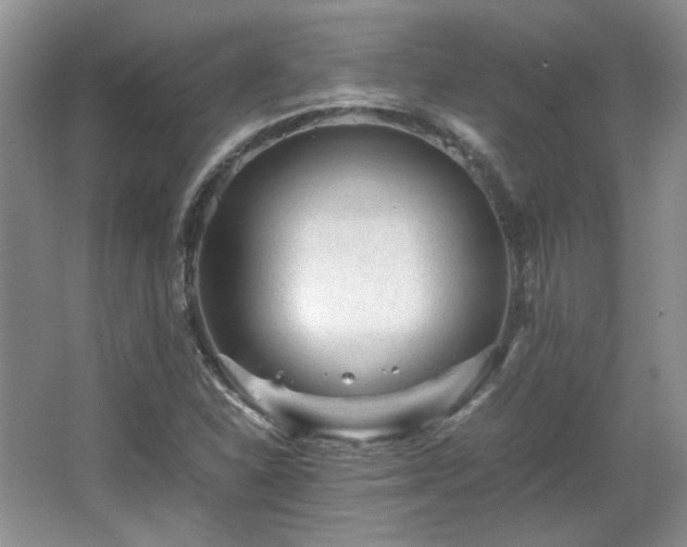 X0000066001310200603061313