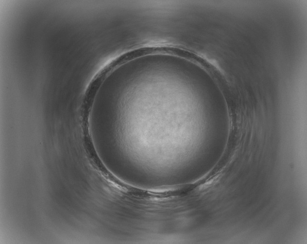 X0000066001311200603061313