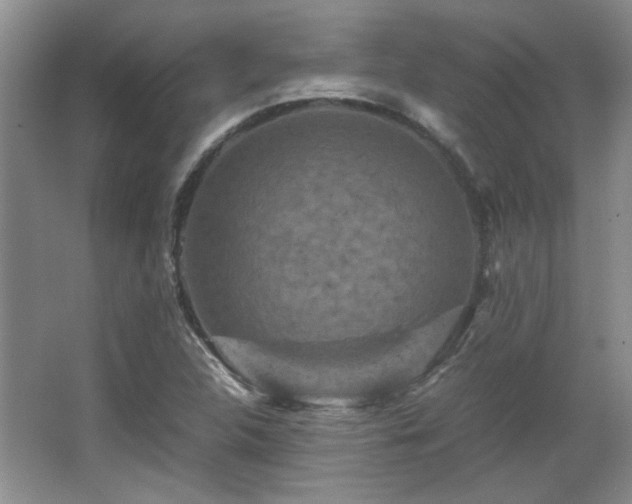 X0000066001312200603061313