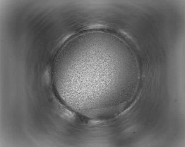 X0000066001313200603061313