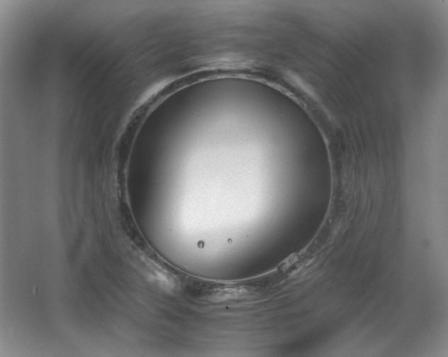 X0000066001315200603061313