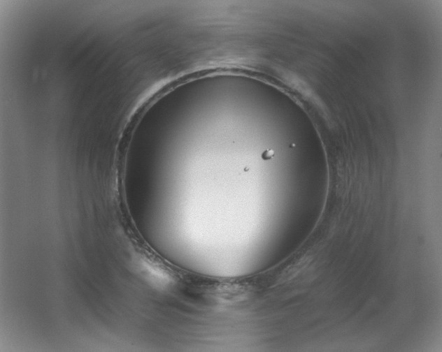 X0000066001316200603061313