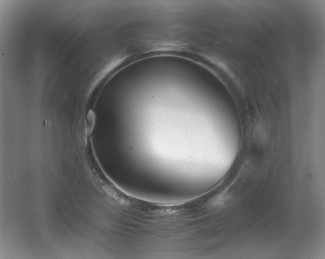 X0000066001317200603061313