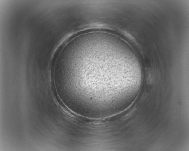 X0000066001318200603061313