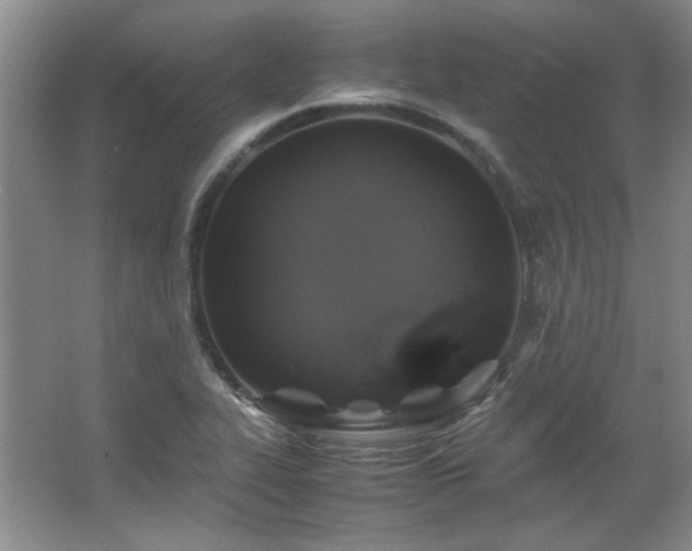 X0000066001319200603061313