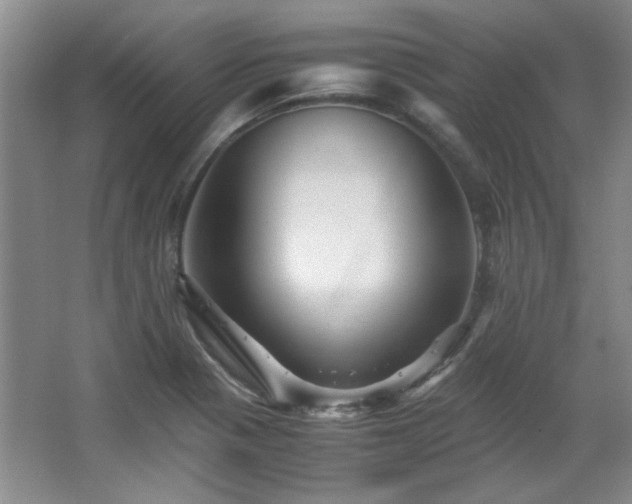 X0000066001321200603061313