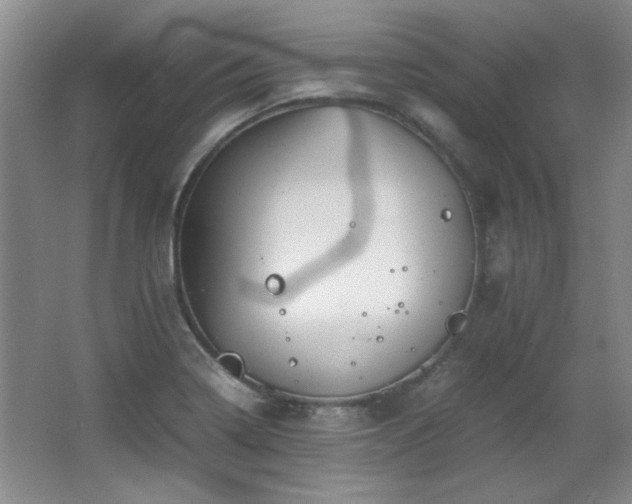 X0000066001322200603061313