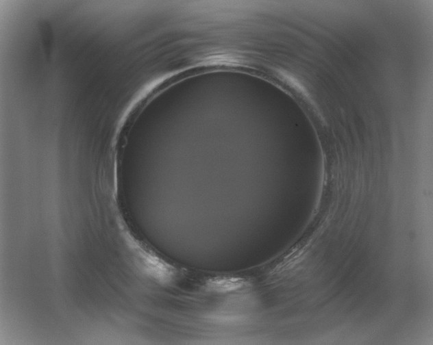 X0000066001323200603061313