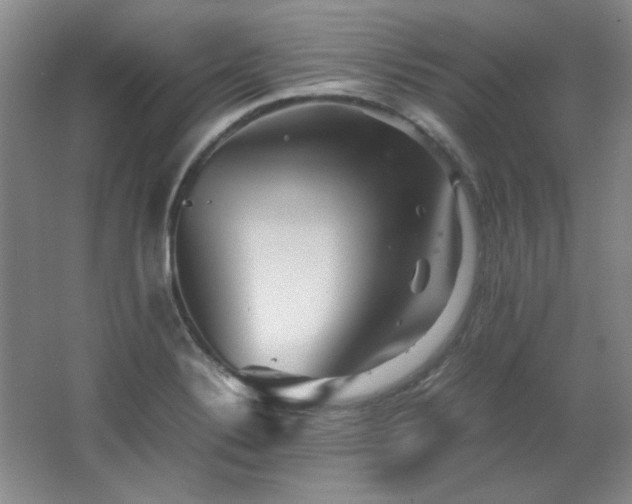 X0000066001324200603061313