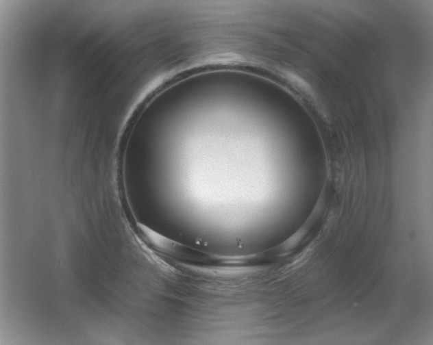 X0000066001326200603061313