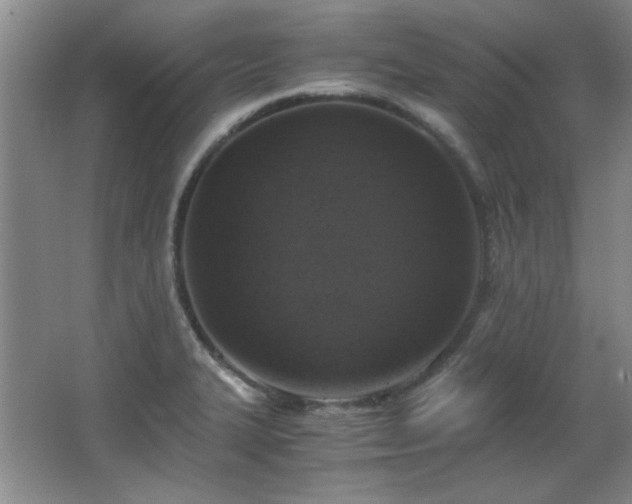 X0000066001327200603061313