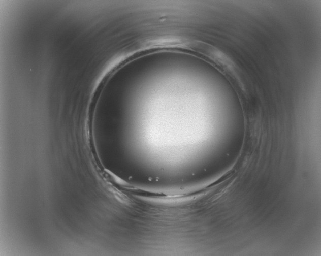 X0000066001328200603061313