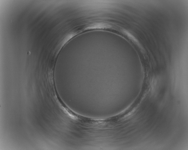 X0000066001329200603061313